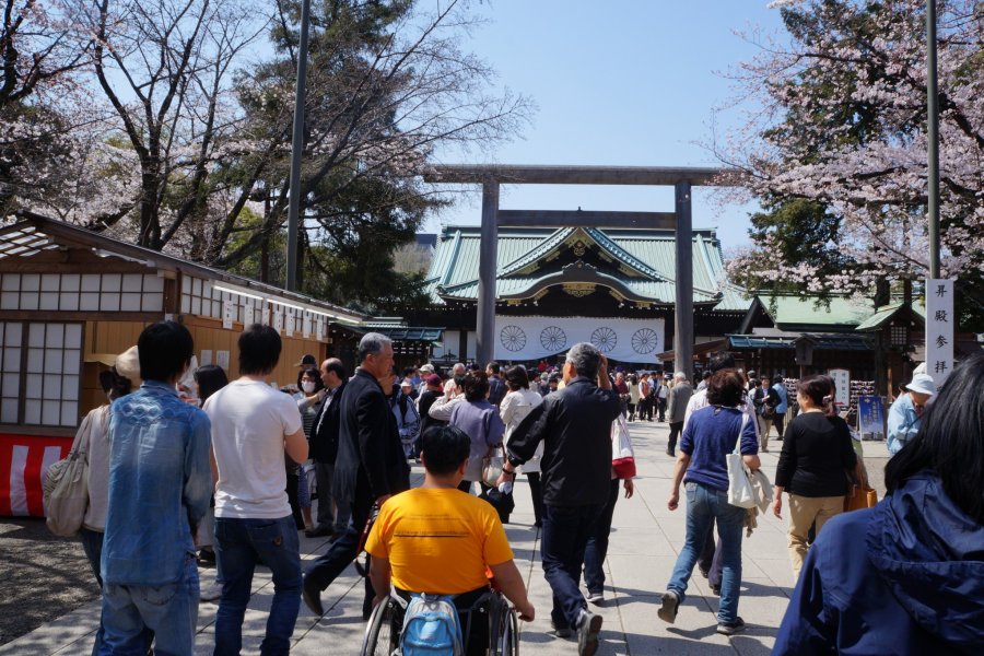 Sakura di Yasukuni Jinja