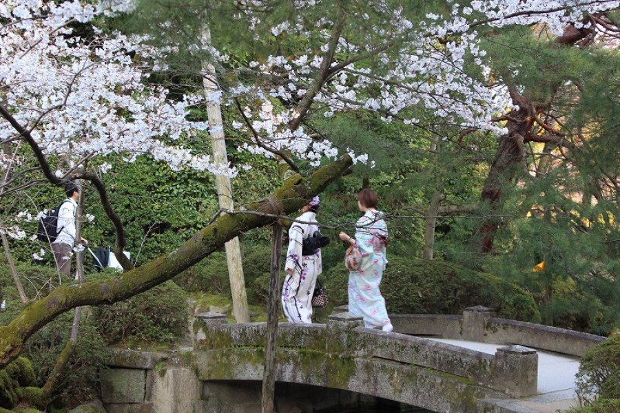 Taman Bunga Sakura Heian Jingu