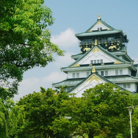 Osaka Castle di Musim Panas Osaka Castle di Musim Panas