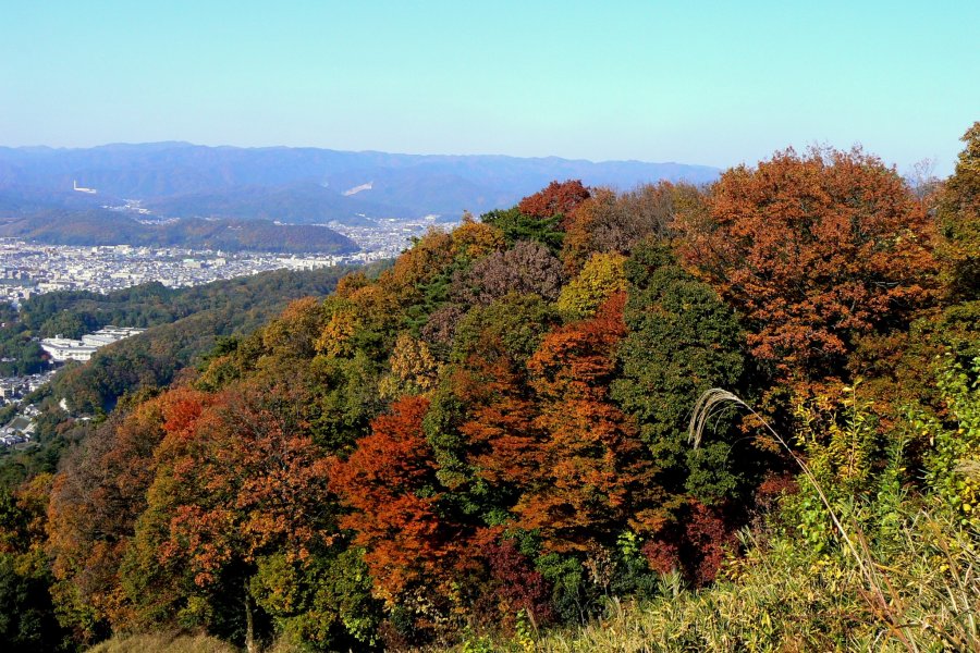 Mendaki Gunung Daimonji