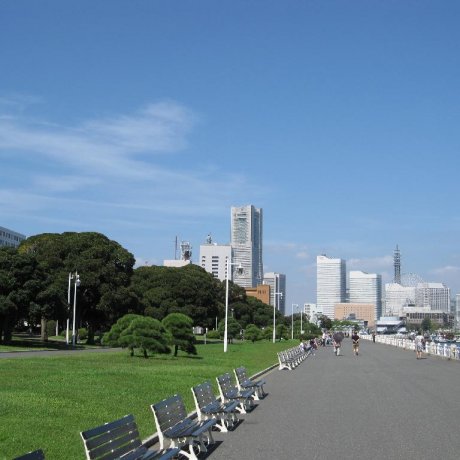 Taman Yamashita Taman Yamashita