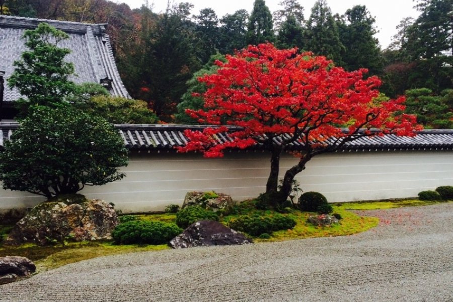 Musim Gugur di Kyoto
