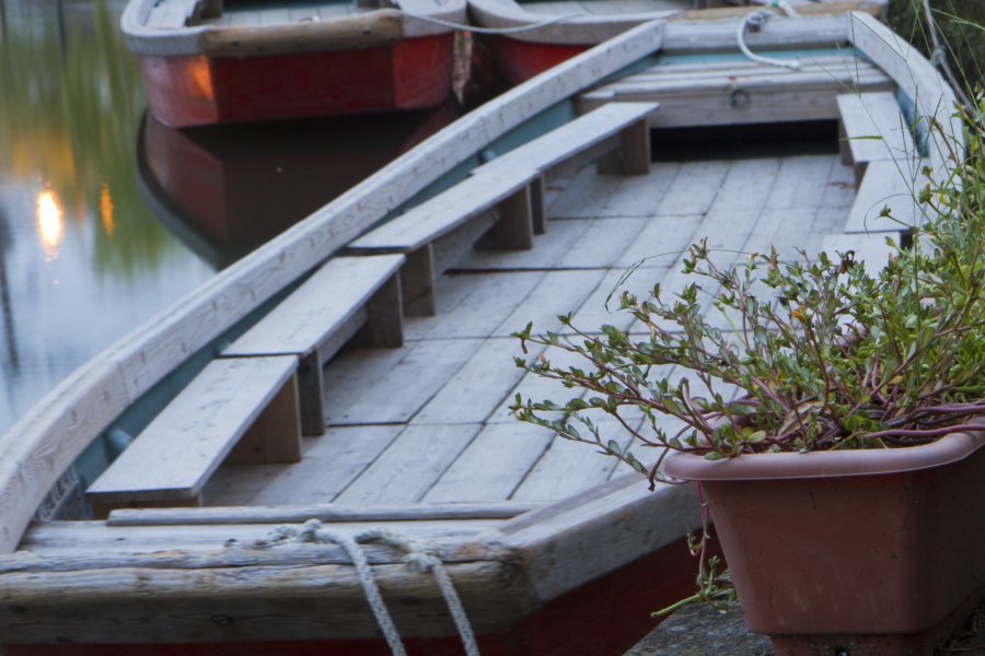 Di Sekitar Kanal Terkenal Yanagawa