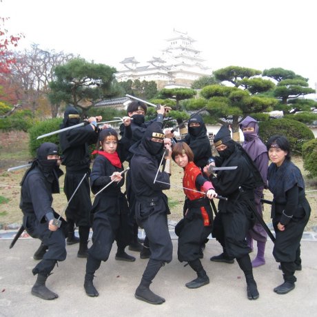 Dewan Ninja Dewan Ninja