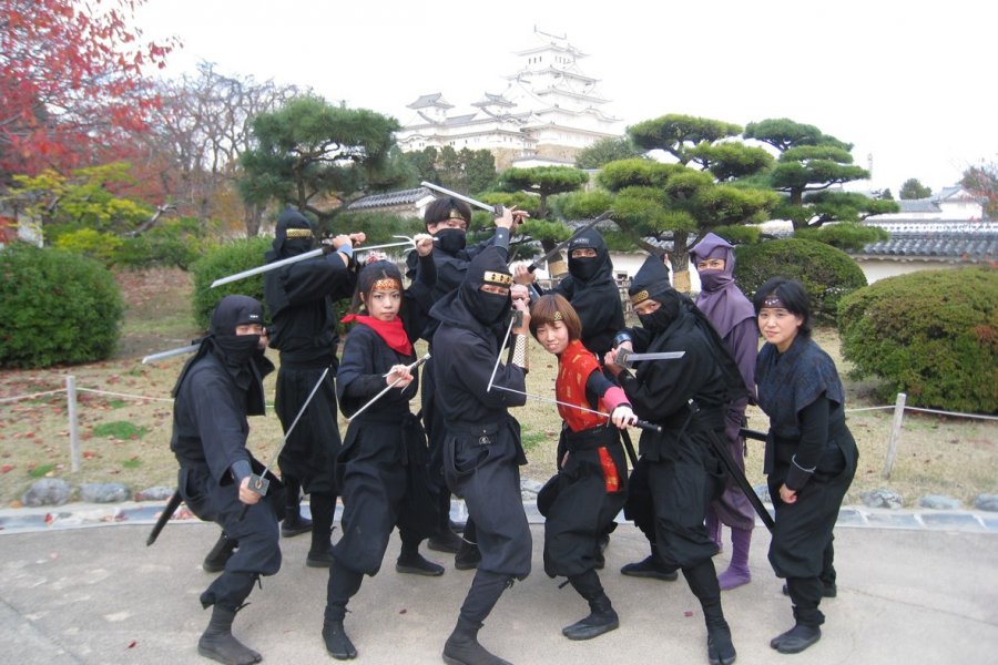 Dewan Ninja