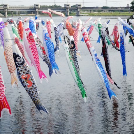 Bendera Ikan Koi di Pedesaan Saga Bendera Ikan Koi di Pedesaan Saga