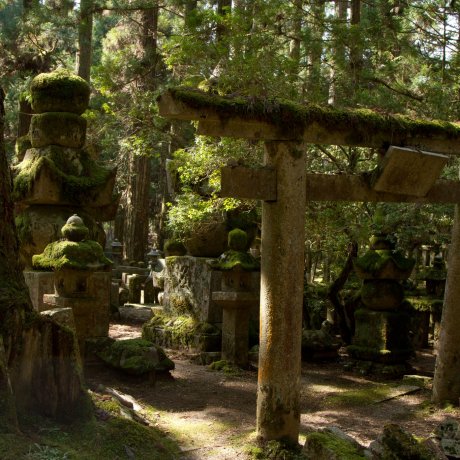 Pemakaman yang terindah di Jepang Pemakaman yang terindah di Jepang