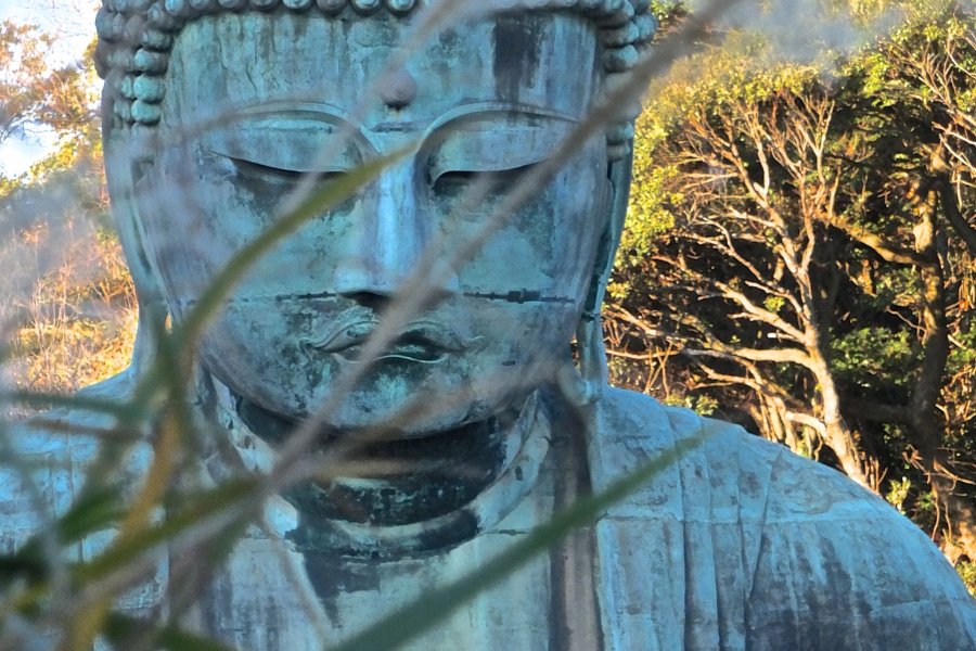 Daibutsu Kamakura: Awal Desember