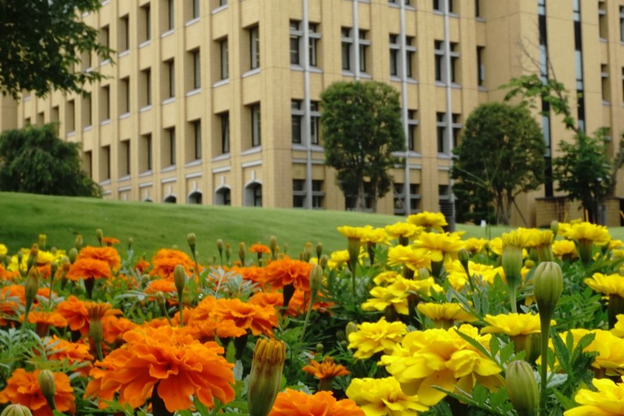  Menengok Kampus Sagamihara