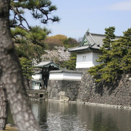 Imperial Palace di Tokyo Imperial Palace di Tokyo