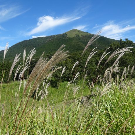 Awal Musim Gugur di Gunung Aso Awal Musim Gugur di Gunung Aso