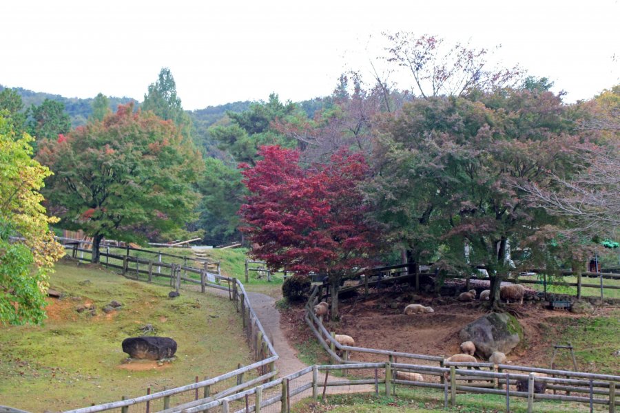 Yamazoe-mura di Nara