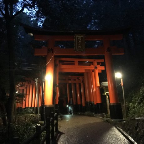 Fushimi Inari Taisha saat Malam Fushimi Inari Taisha saat Malam