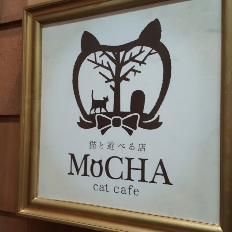 Kafe Mocha Kafe Mocha