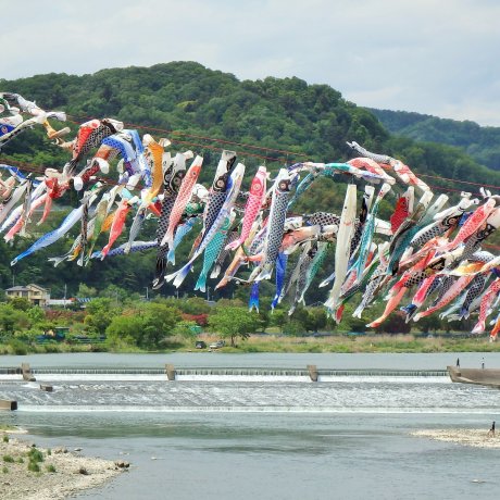 Festival Bendera Ikan Sagamihara Festival Bendera Ikan Sagamihara