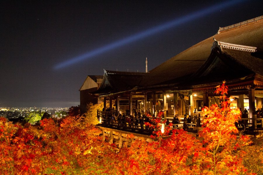 Iluminasi Musim Gugur Kiyomizu-dera