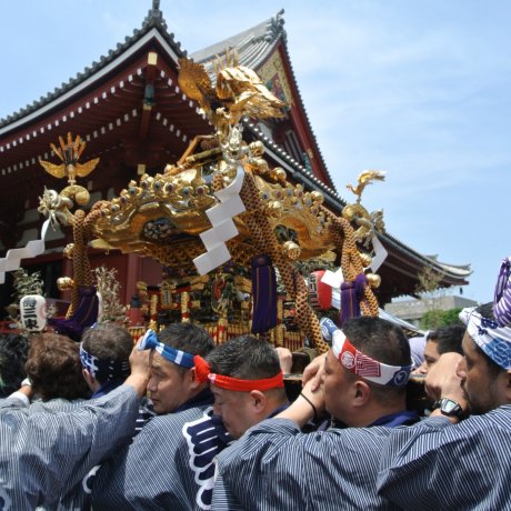 Festival Sanja di Tokyo Festival Sanja di Tokyo