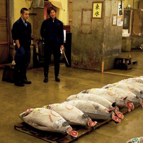 5 Hal yang Harus Dilihat dan Dicoba di Jepang 5 Hal yang Harus Dilihat dan Dicoba di Jepang