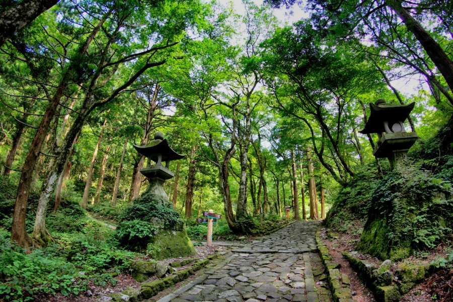 Petualangan Gunung Daisen Tottori