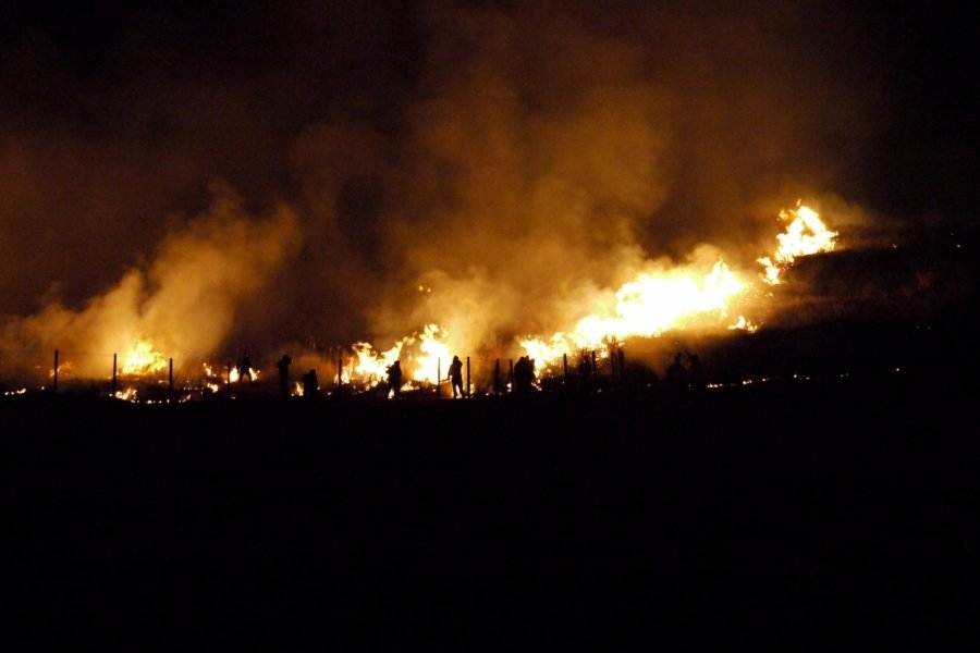 Festival Yamayaki