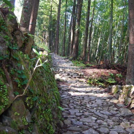 Kumano Kodo- "Way of St. James" di Jepang Kumano Kodo- "Way of St. James" di Jepang