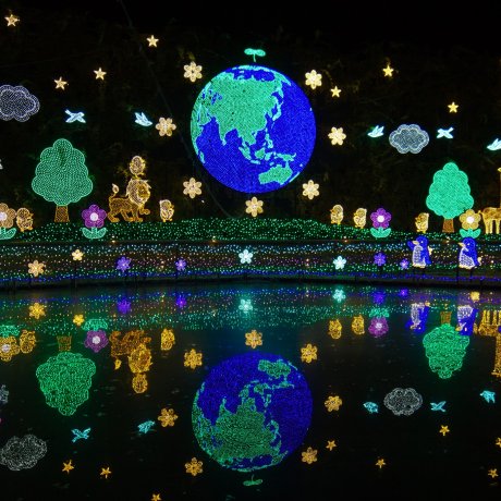 Iluminasi Taman Bunga Ashikaga Iluminasi Taman Bunga Ashikaga