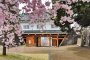 Panduan Sakura Yamanashi