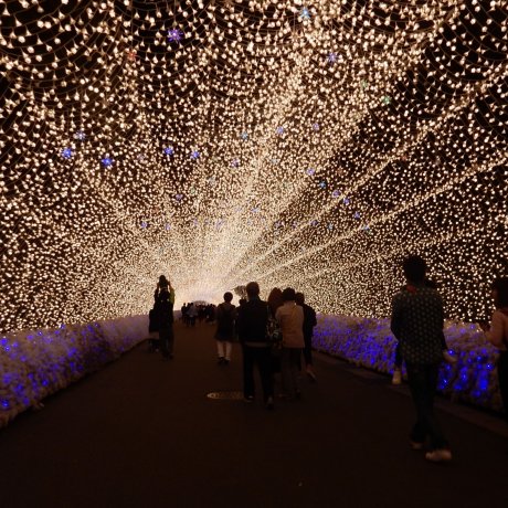 Iluminasi Musim Semi Nabana No Sato Iluminasi Musim Semi Nabana No Sato