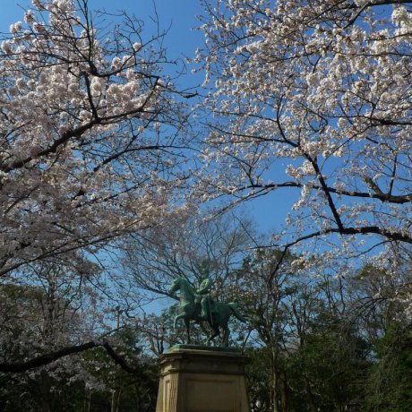 Taman Ueno di Musim Sakura Taman Ueno di Musim Sakura