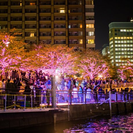 Sungai dan Iluminasi Shinagawa Sungai dan Iluminasi Shinagawa