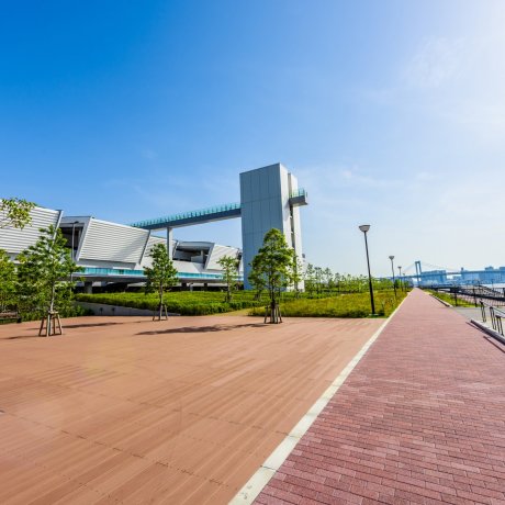 Pasar Ikan Toyosu Pasar Ikan Toyosu