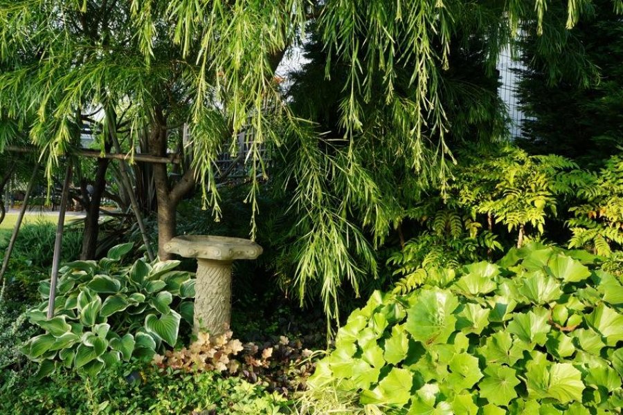 Taman Atap Shinjuku Marui