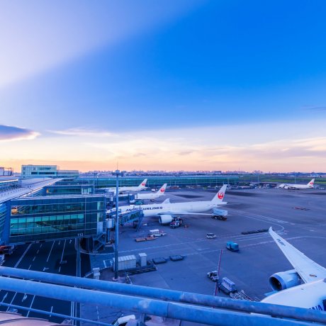 Pedoman Bandara & Maskapai Jepang Pedoman Bandara & Maskapai Jepang