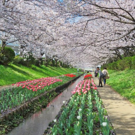 Discover Hidden Yokohama Discover Hidden Yokohama