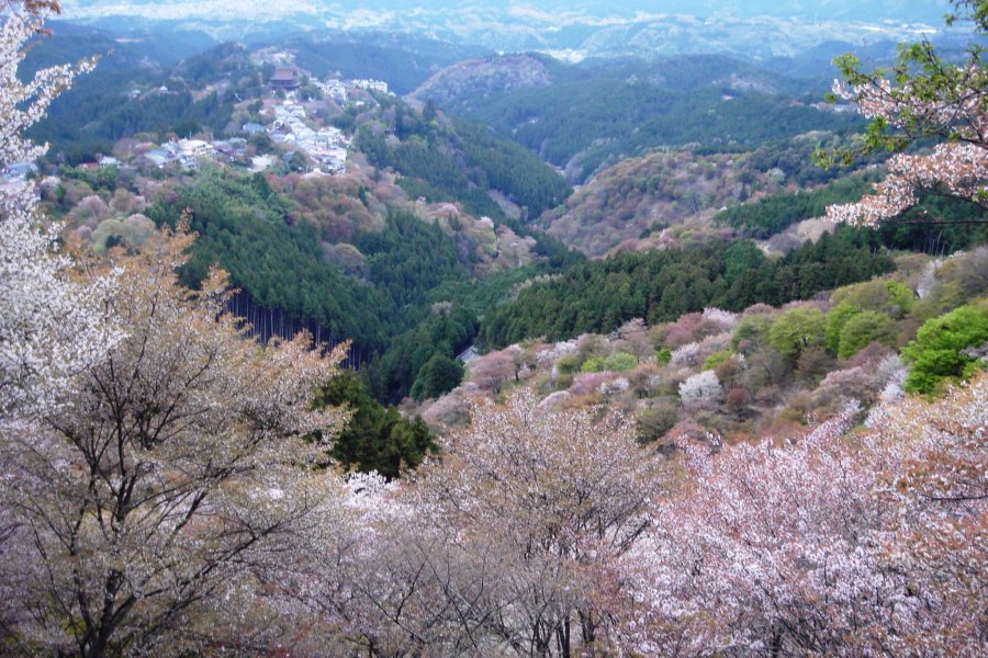 Kunjungan ke Gn. Koya di Yoshino