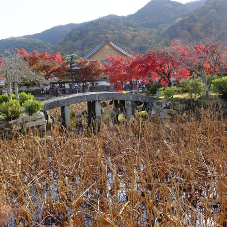 Musim gugur di Kuil Tenryu-ji, Kyoto Musim gugur di Kuil Tenryu-ji, Kyoto